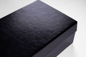 The Stealth Case
