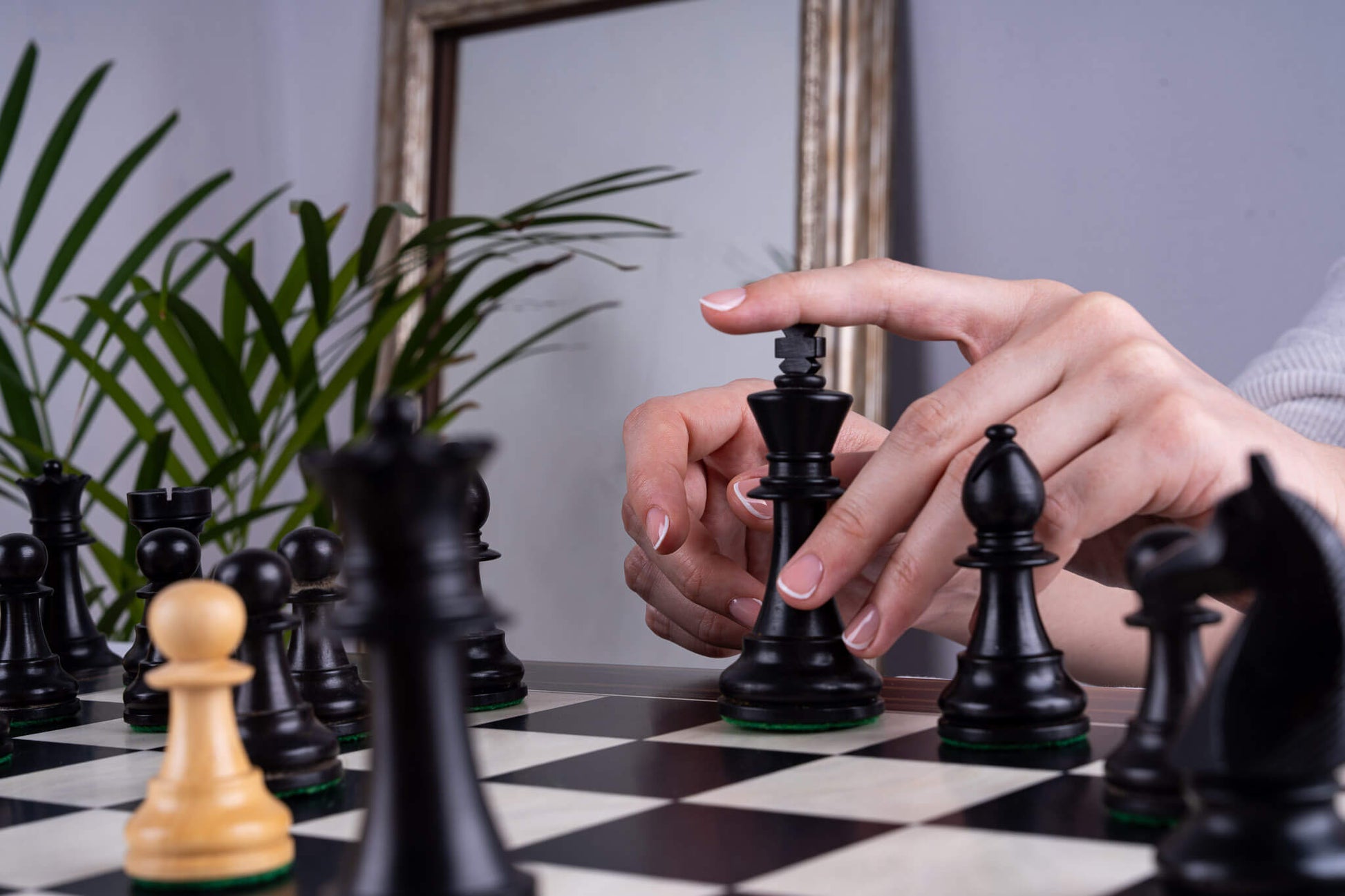 Chess Set Galerie <br>in Ebony & Boxwood