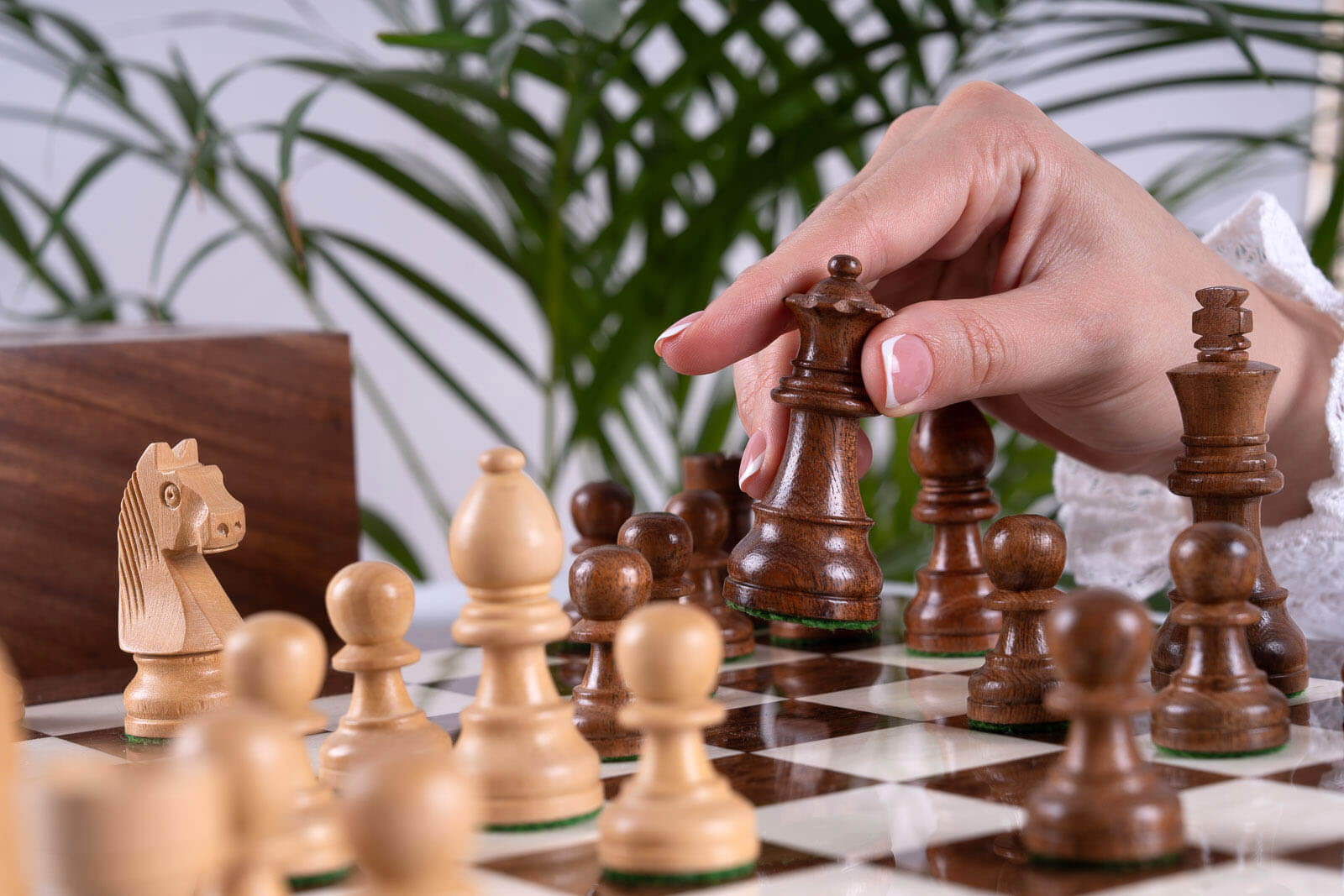 Supreme Chess Set <br>in Ash and Boxwood