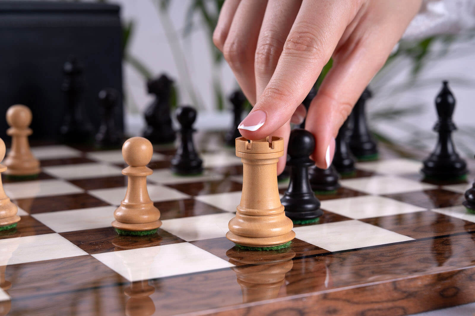 Warrior Chess Set in Ash and Boxwood