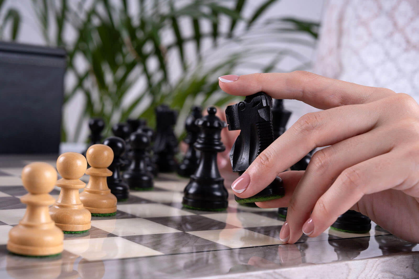 Graphite Chess Set <br>in Ash and Boxwood