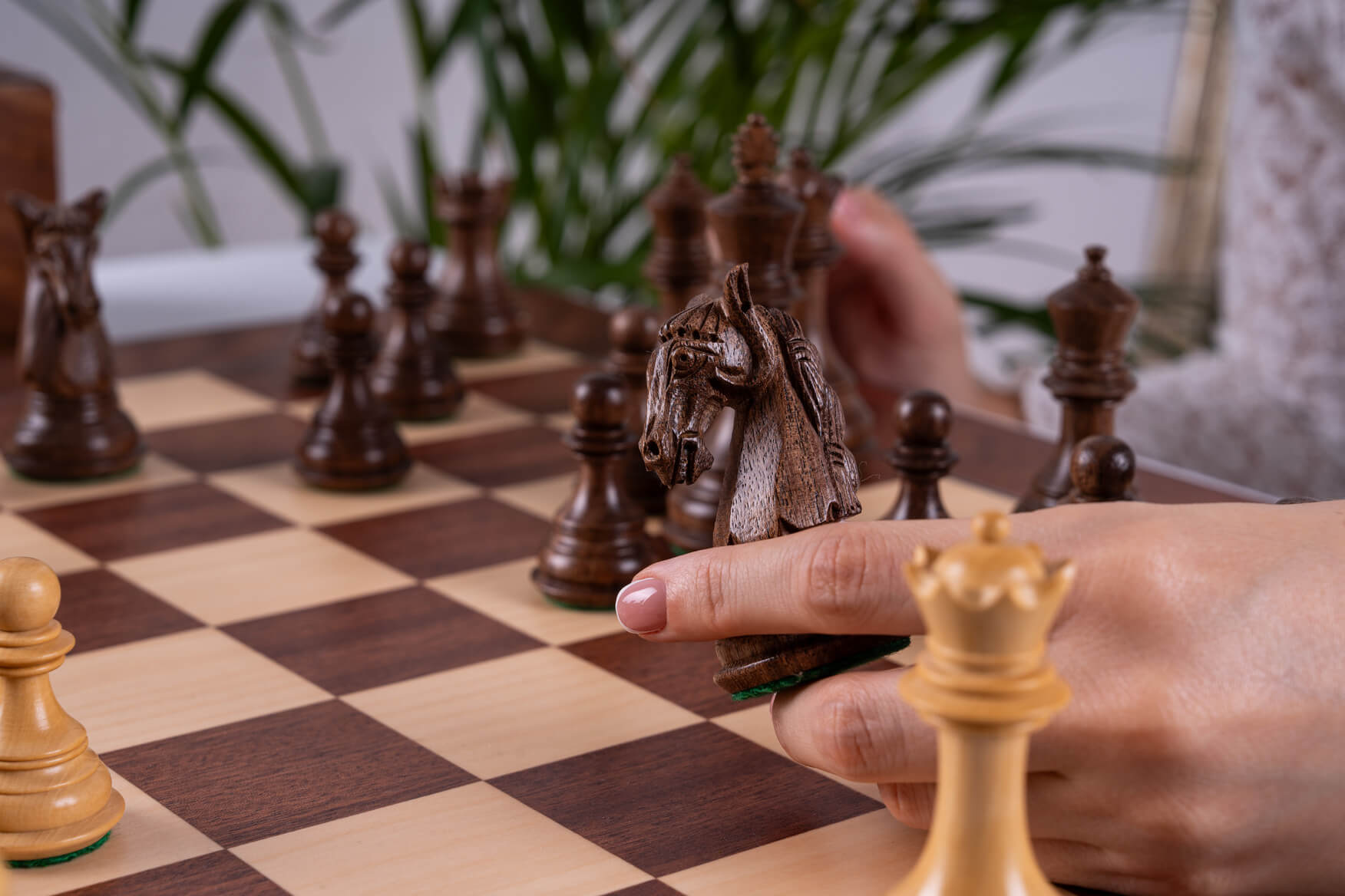 Conquest Chess Set <br>in Mahogany and Boxwood