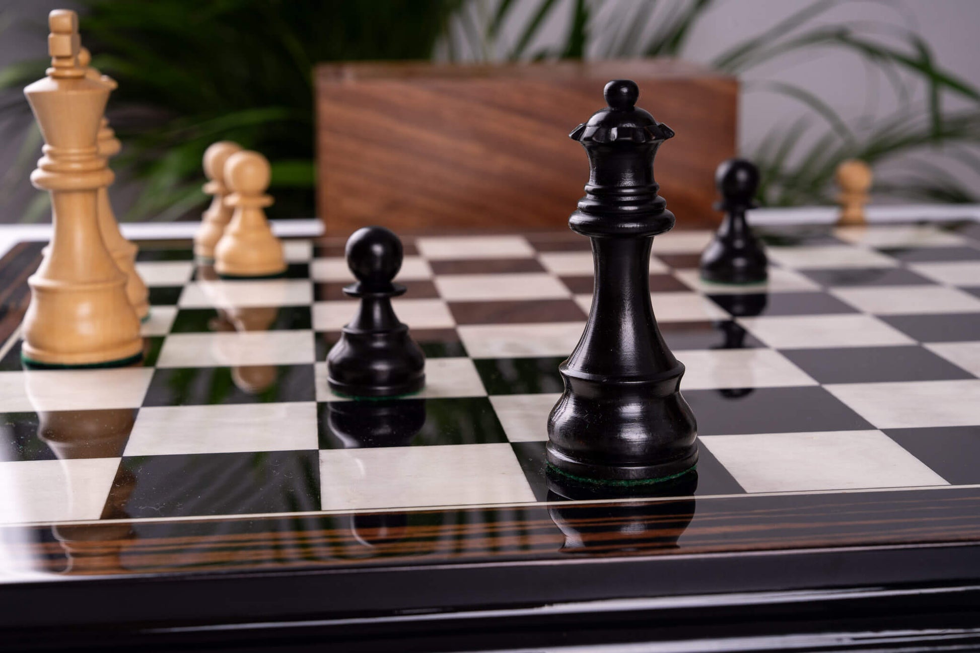 Chess Set Transmission <br>in Ebony et Boxwood