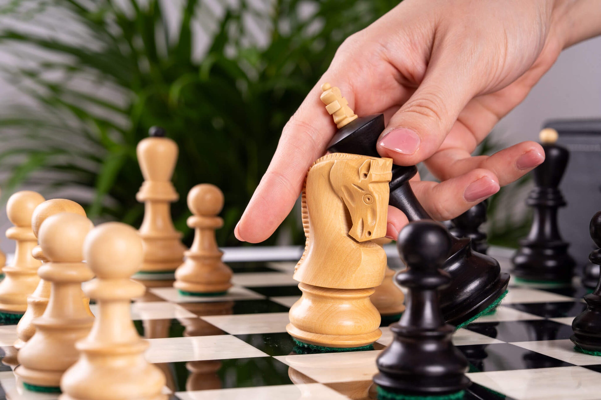 Chess Set Virtuose <br>in Ebony et Boxwood