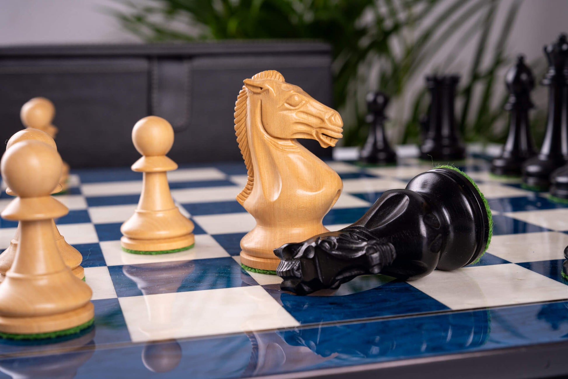 Chess Set Blue Céleste <br>in Ash Burl