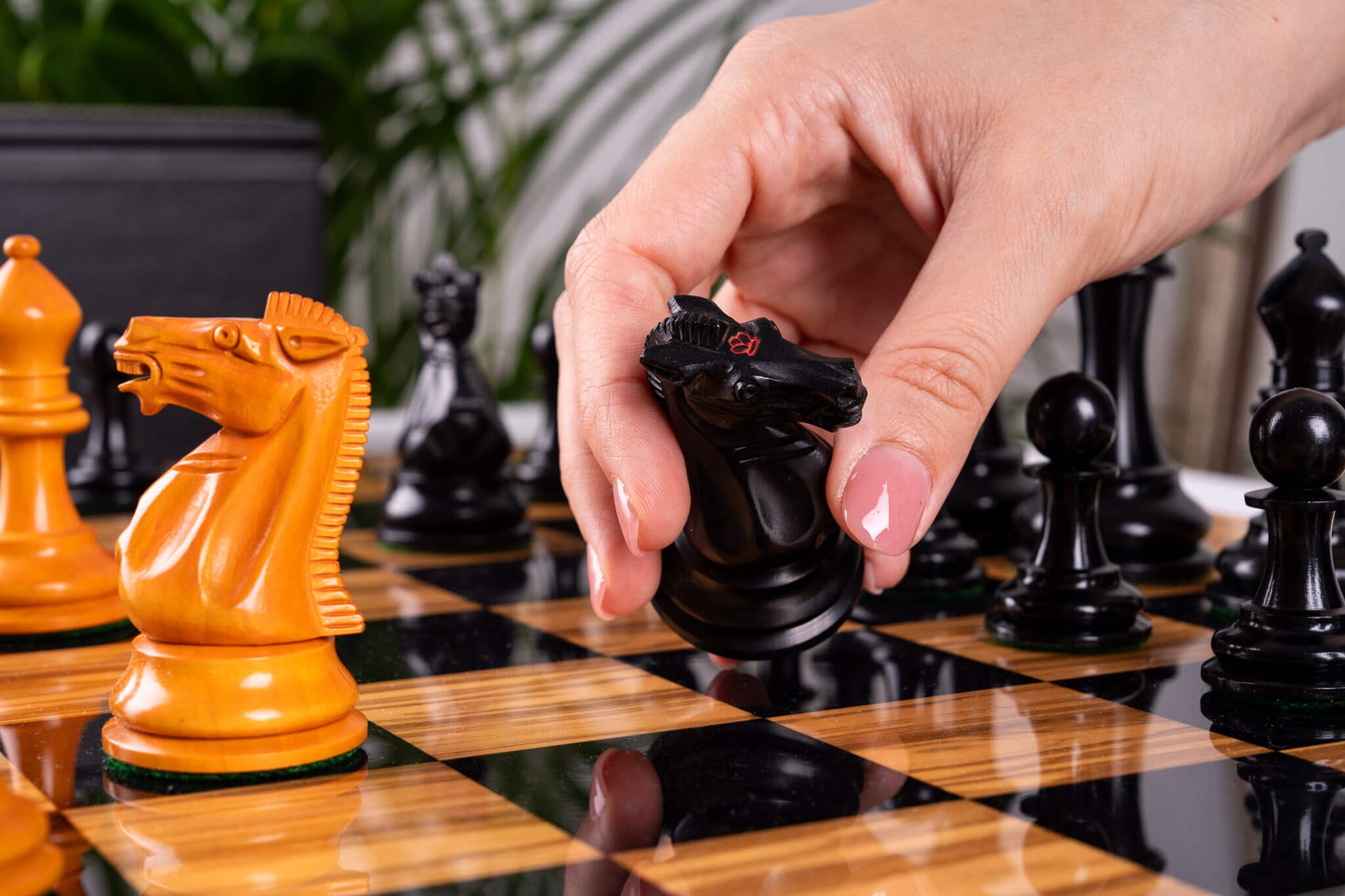 Chess Set Essence <br>in Olive wood