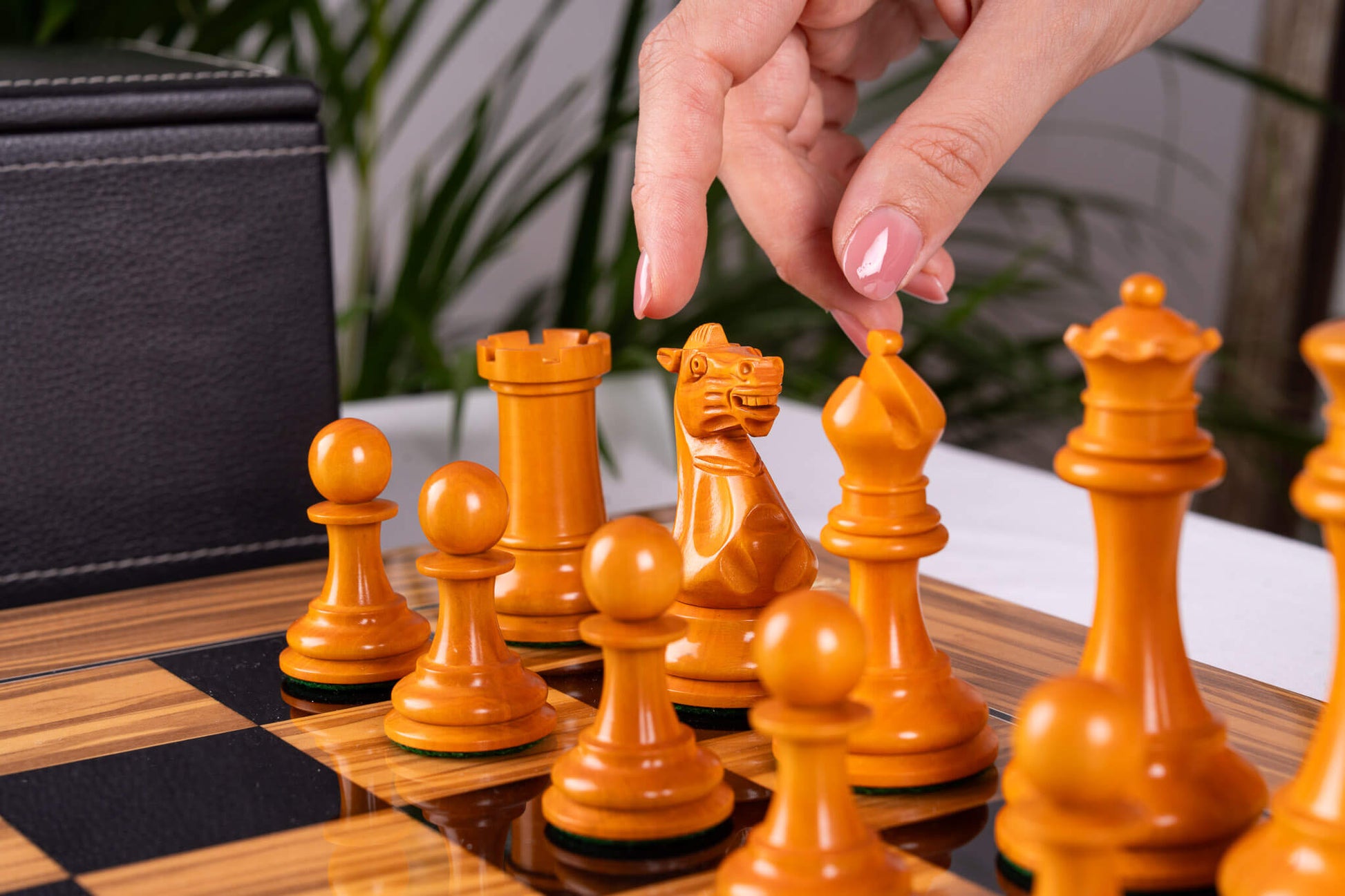 Chess Set Essence <br>in Olive wood