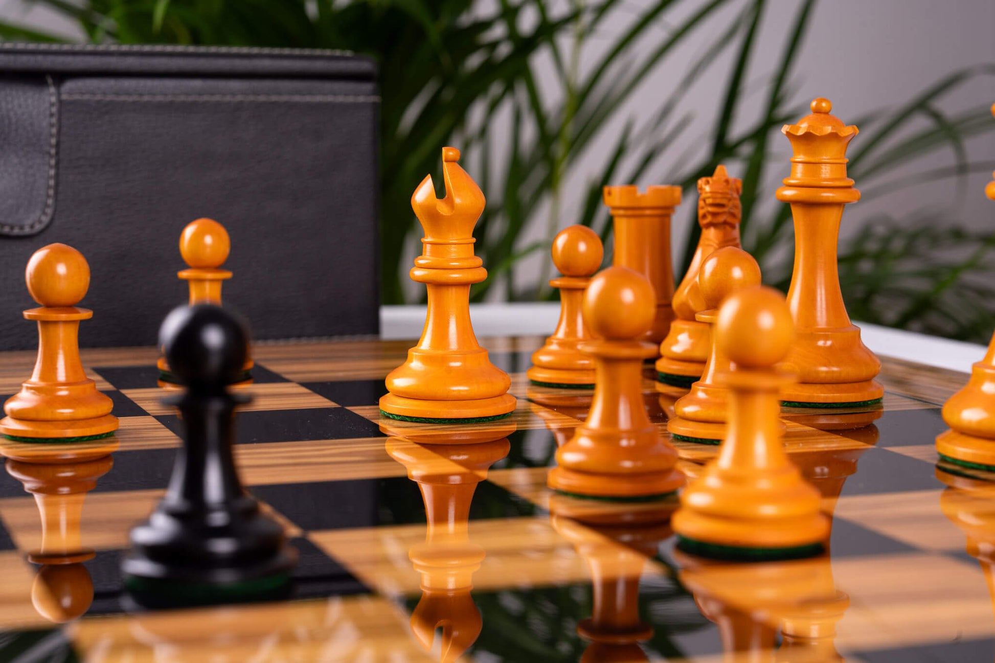 Chess Set Essence <br>in Olive wood