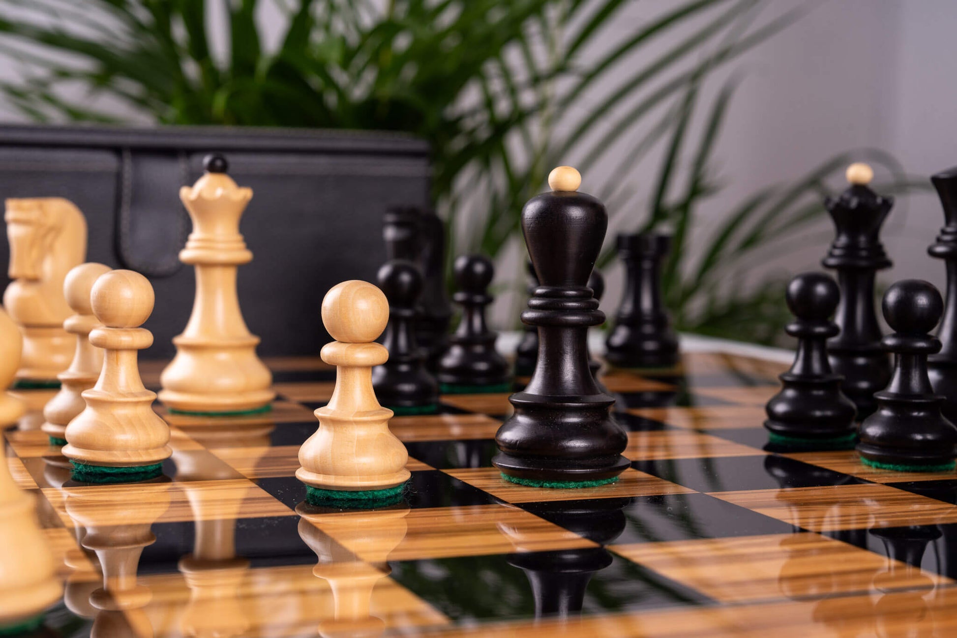 Chess Set Racines <br>in Olive wood