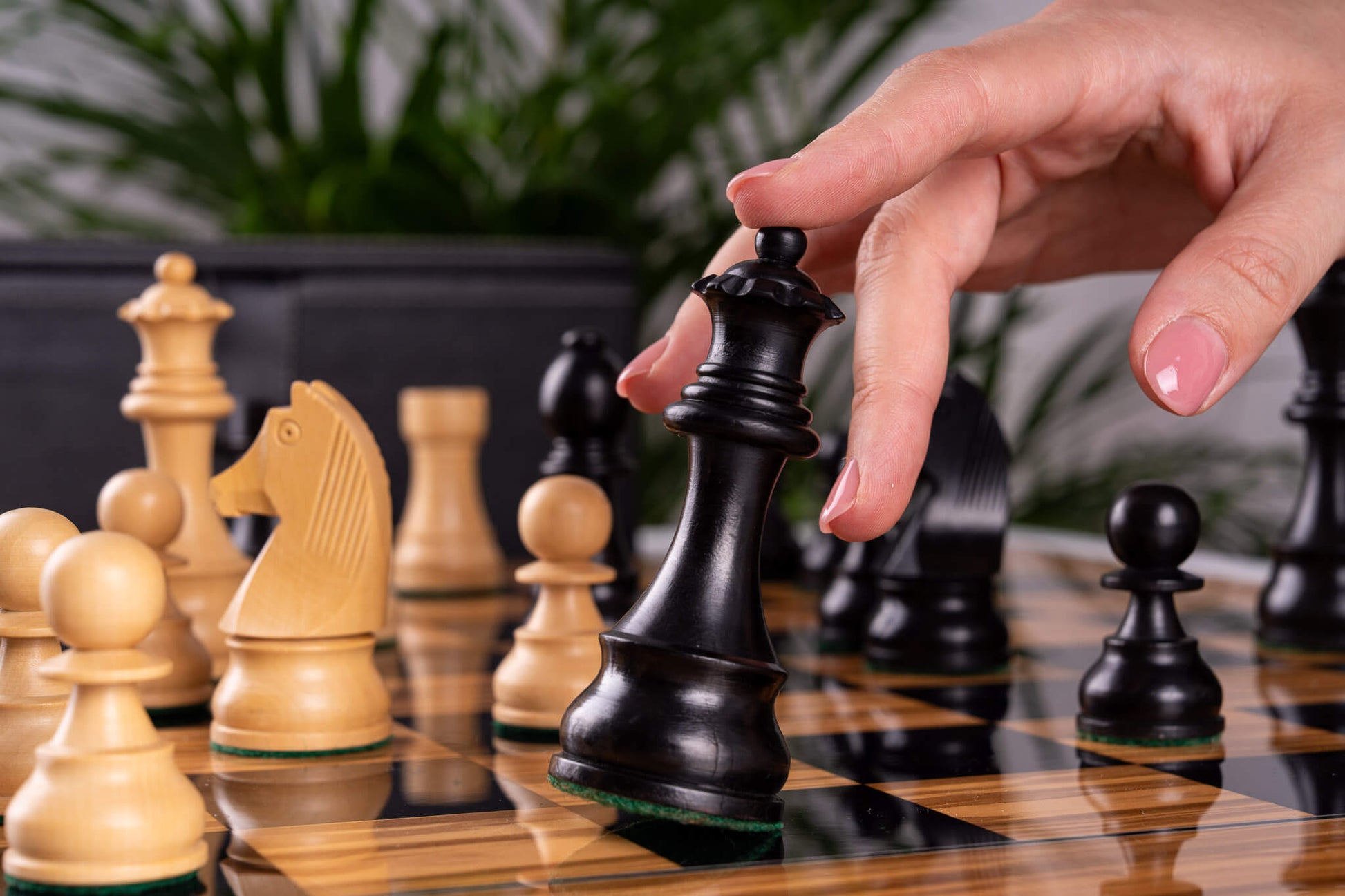 Chess Set Duel <br>in Olive wood