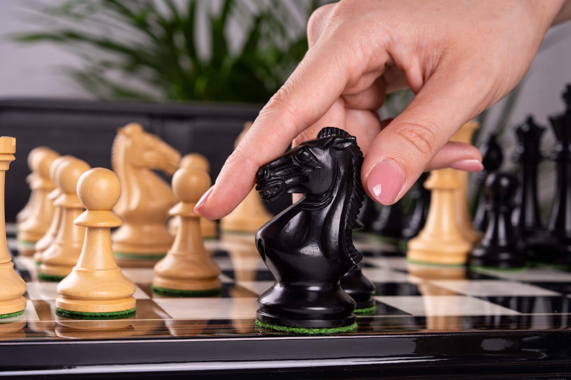 Chess Set Éclat <br>in Ebony