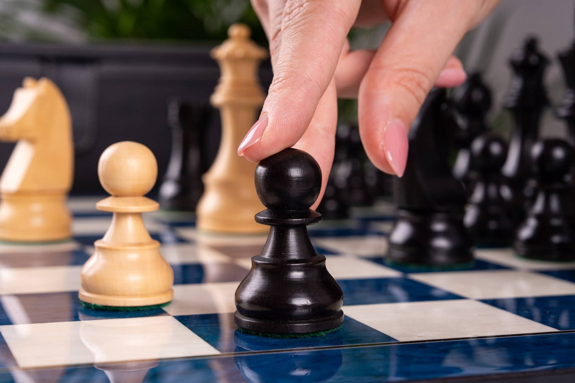 Chess Set Renouveau <br>in Ash Burl