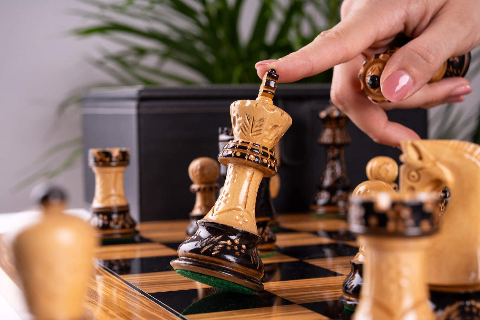 Chess Set Œuvre <br>in Olive wood