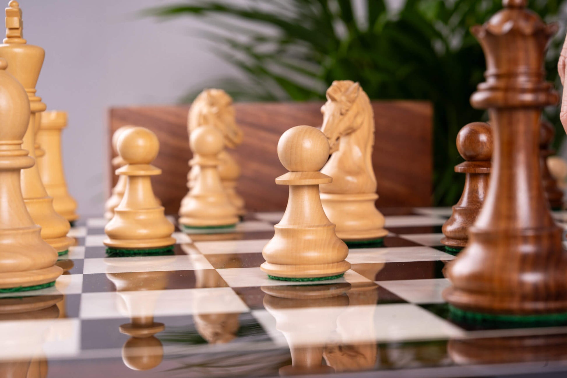 Chess Set Couronne <br>in Ebony