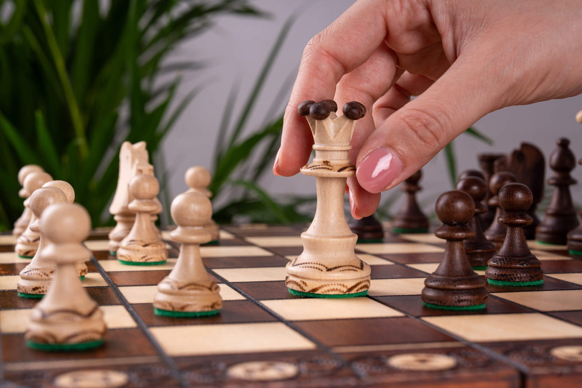 Élysée Chess Set <br>Crafted in Maple and Hornbeam