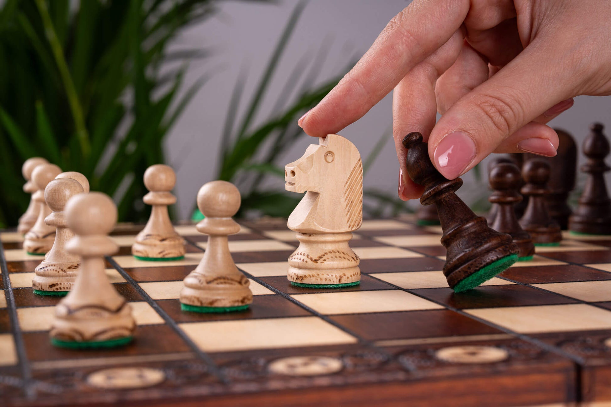 Élysée Chess Set <br>Crafted in Maple and Hornbeam