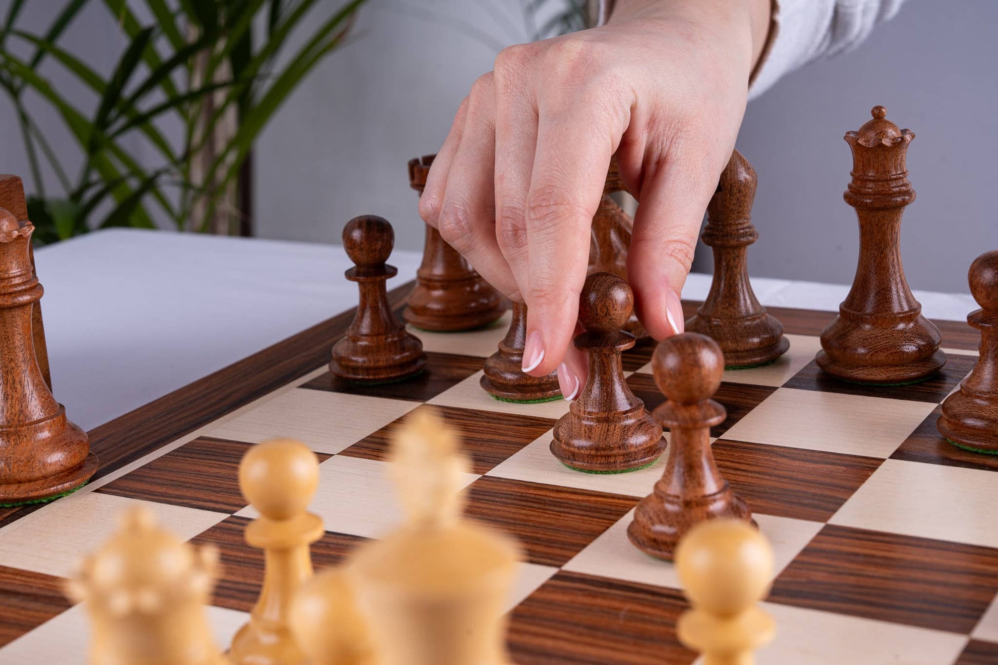 Chess Set Alliance <br>iz palisandra