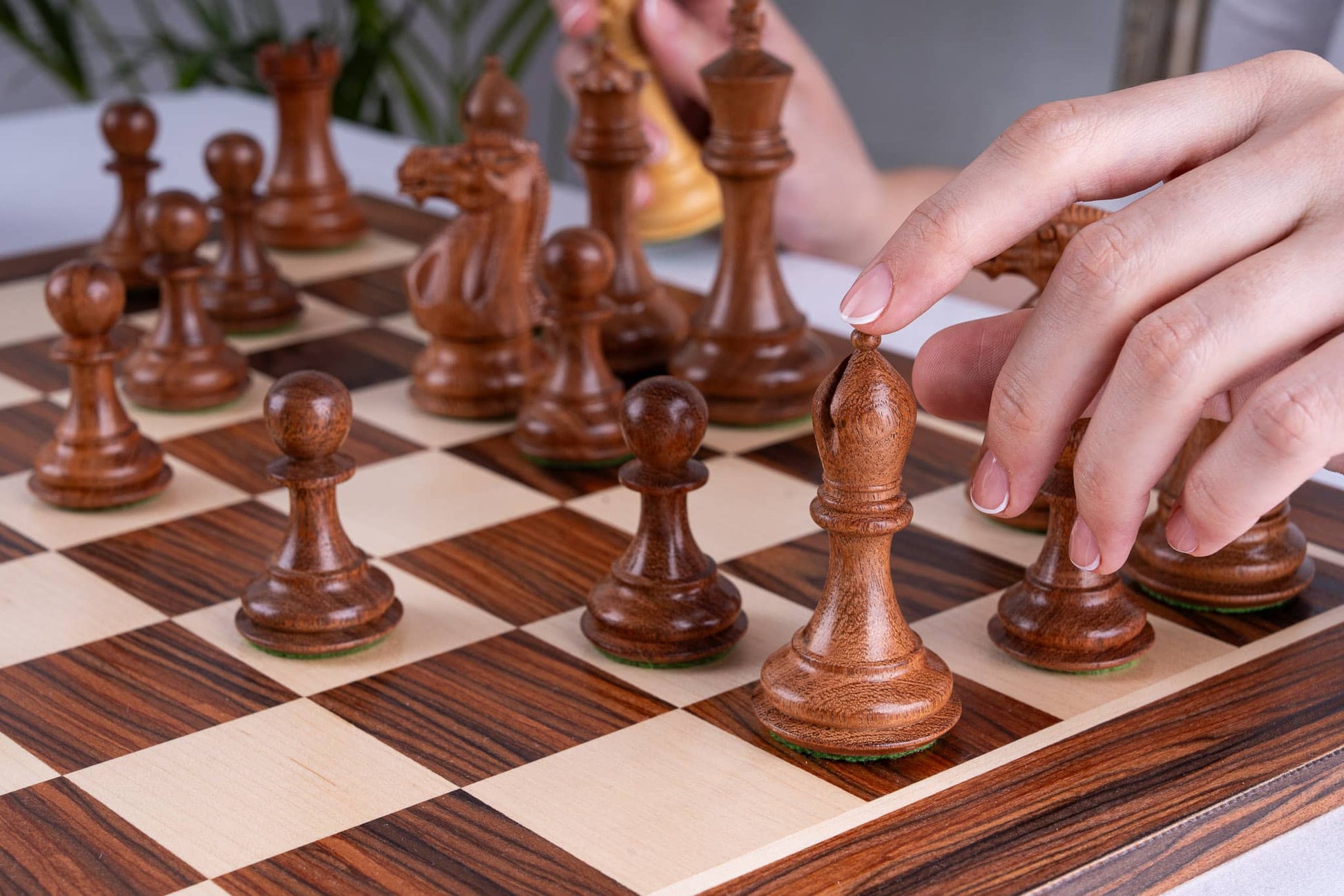 Chess Set Alliance <br>iz palisandra