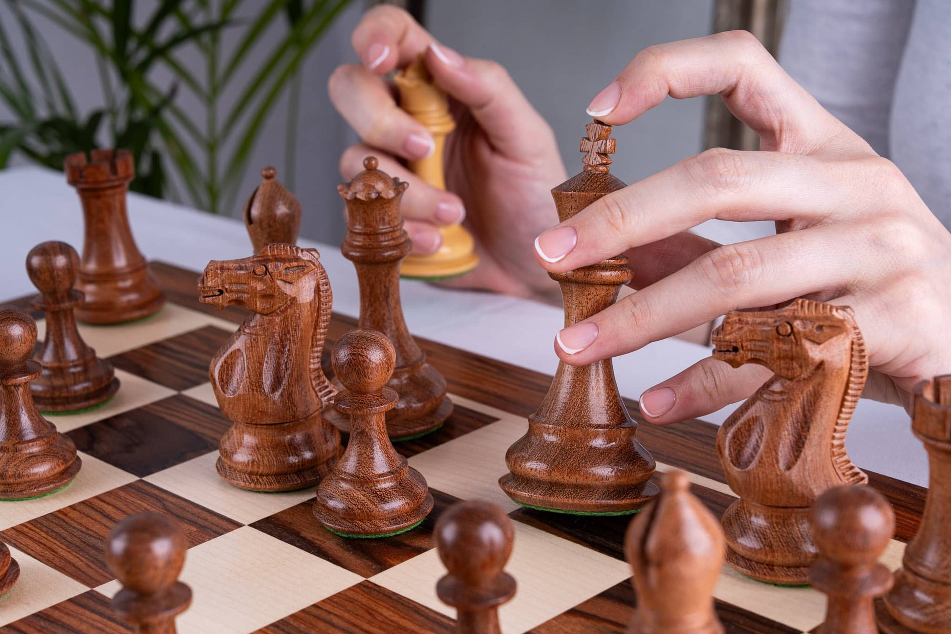 Chess Set Alliance <br>iz palisandra