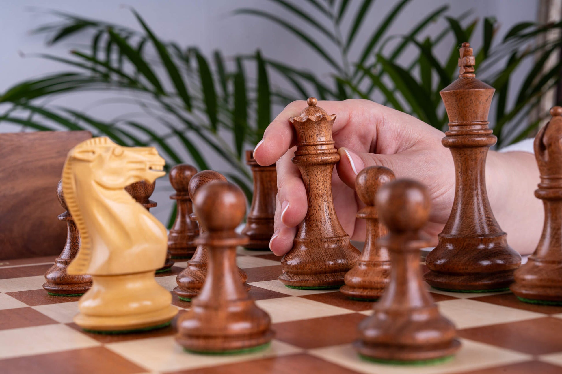 Chess Set Lauriers <br>in Boxwood & Mahogany