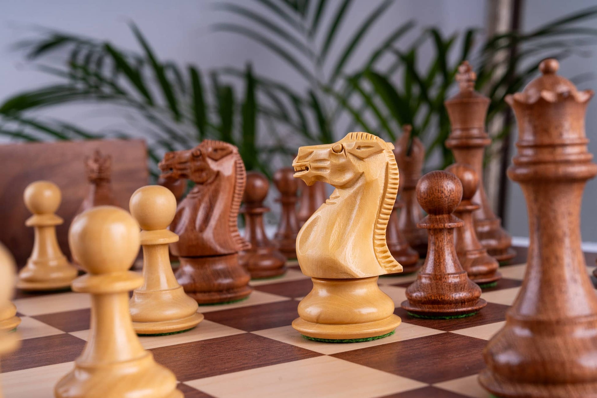 Chess Set Lumière <br>in Mahogany