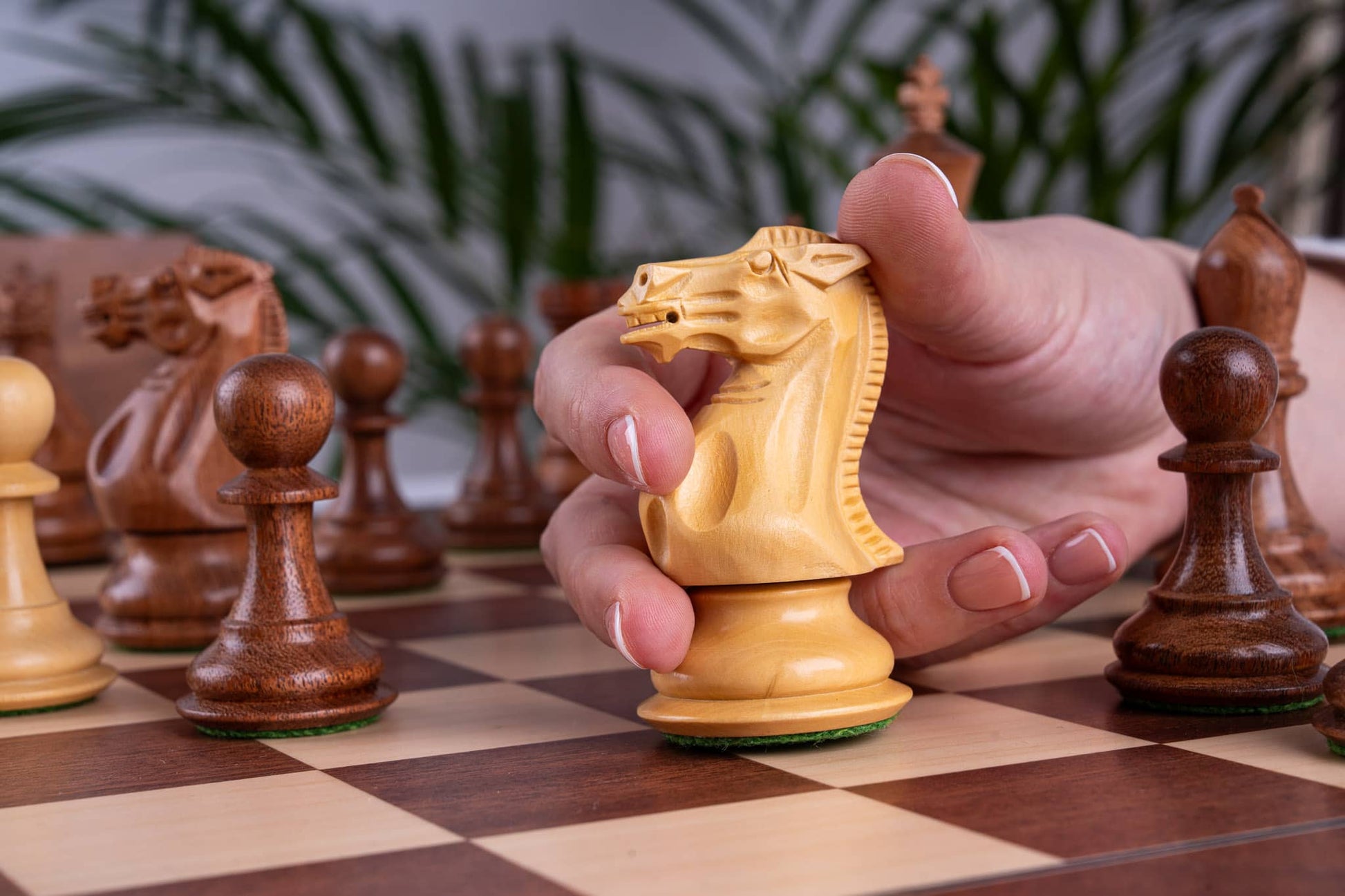 Chess Set Lumière <br>in Mahogany